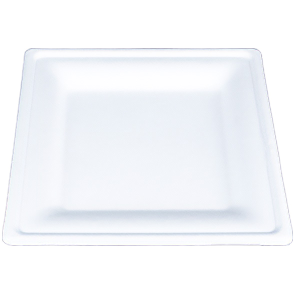 SCT® ChampWare Square Dinnerware Plate