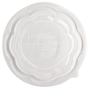 World Centric® Compostable Dome Lid